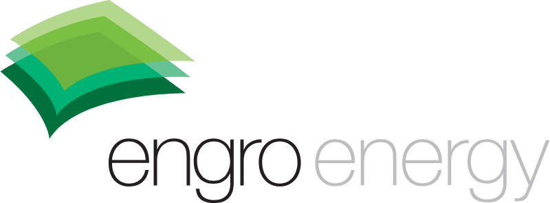Engro Power Project logo